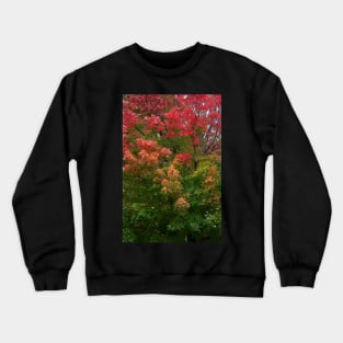 Autumn fall changing leaves red green thanksgiving Crewneck Sweatshirt